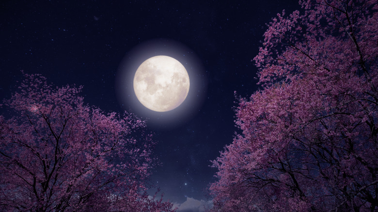 the full moon