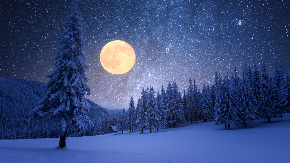 Full moon over pine trees and snow 