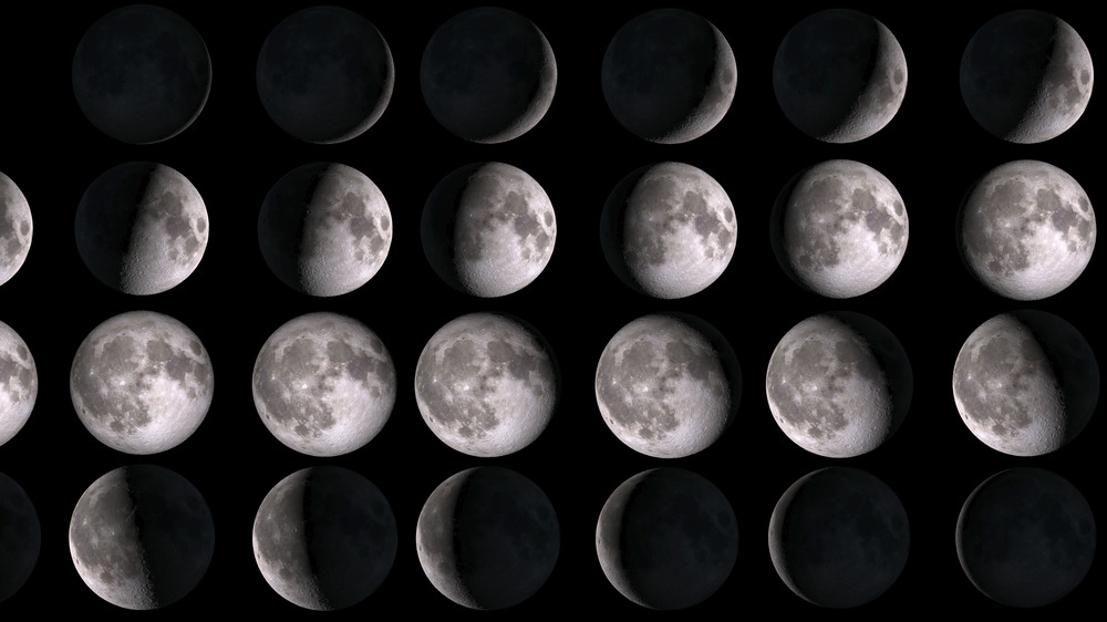 Phases of the moon 