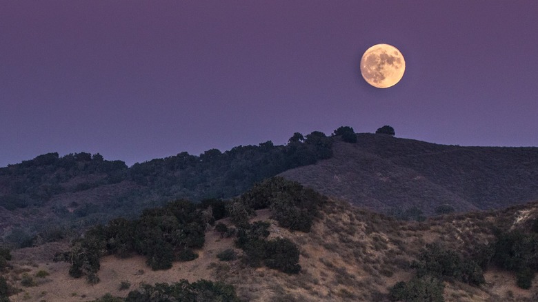 A full moon in the sky