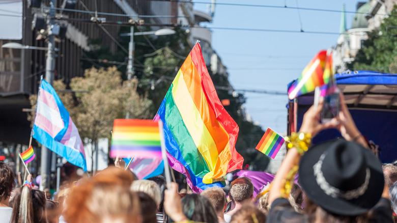 A parade of LGBTQ+ flags