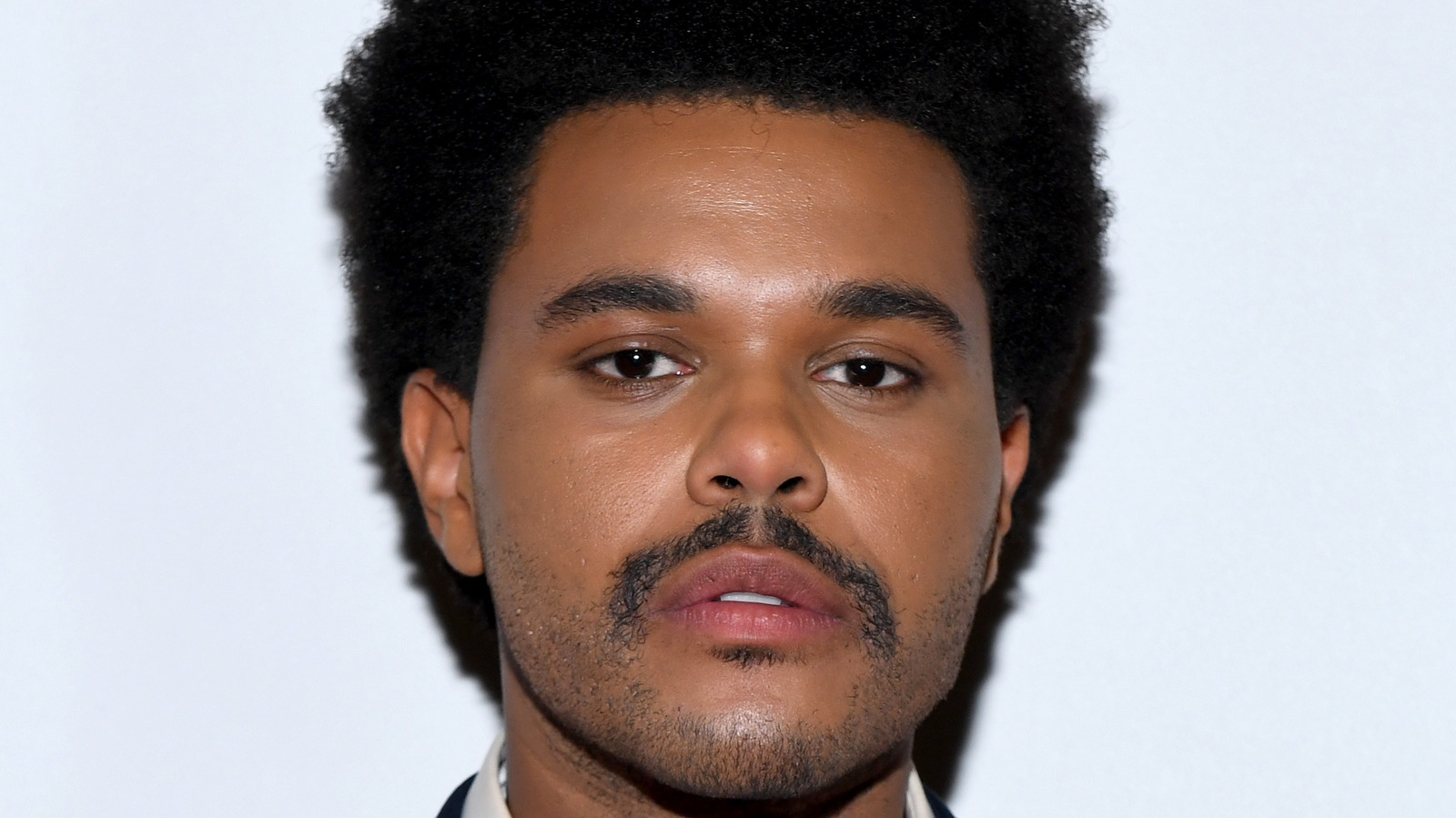Here s what you don t know about the weeknd s adorable dog