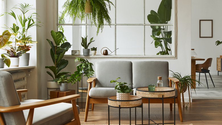 A transitional living space