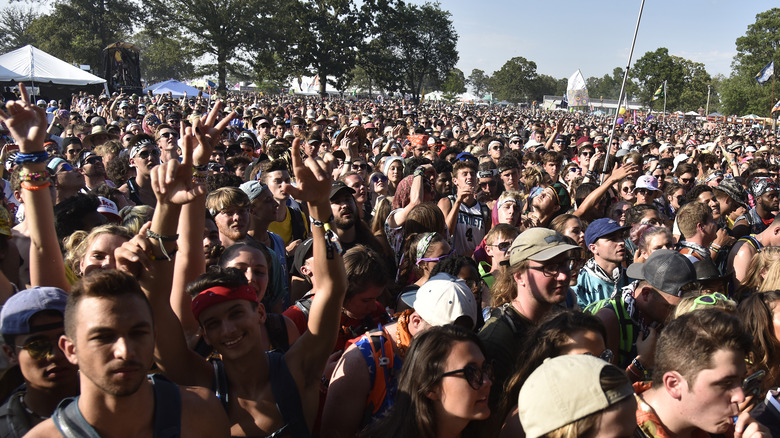 fans at bonnaroo festival 