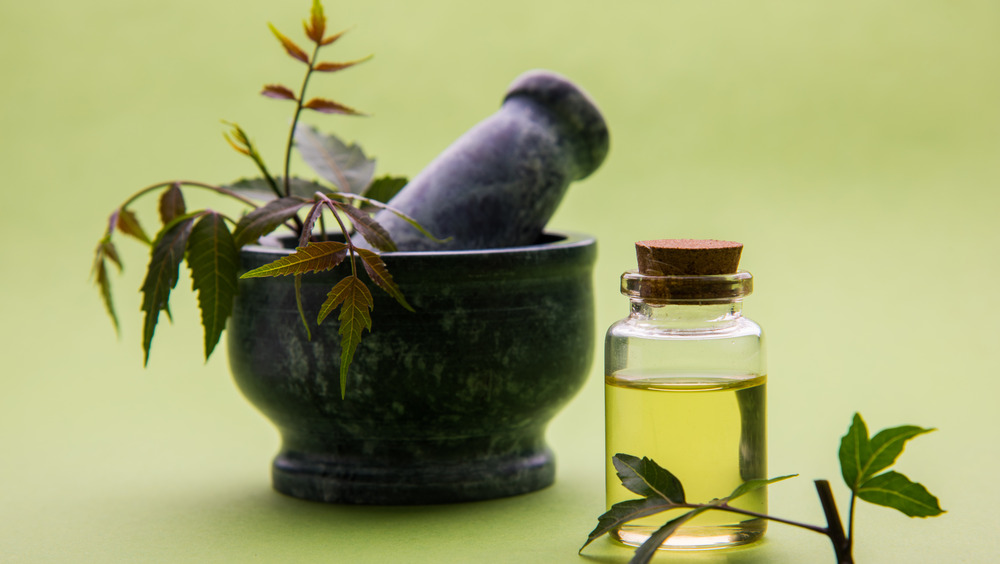 neem oil