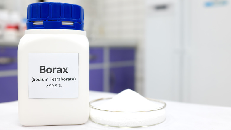 A closeup picture of borax in a plastic bottle and petri dish.