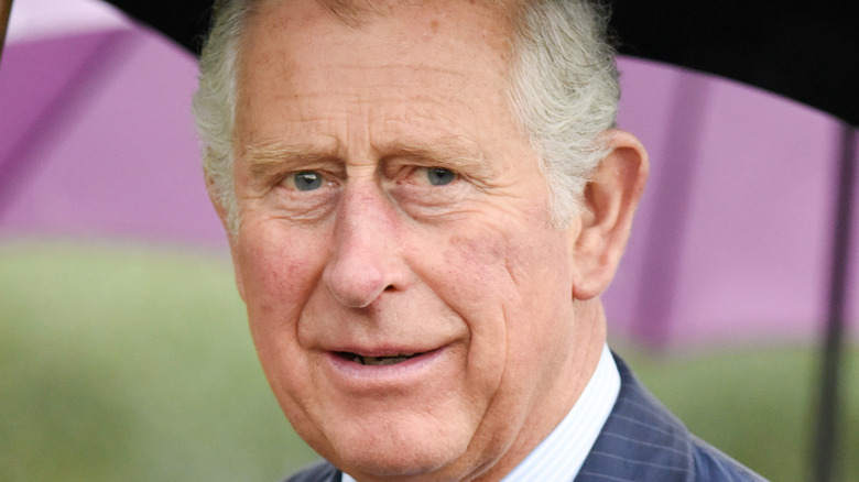 Prince Charles smiles