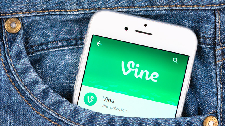 Vine App on Phone