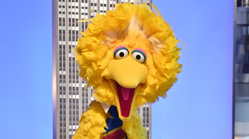 Big Bird smiling