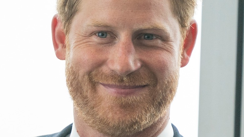 Prince Harry smile closed mouth