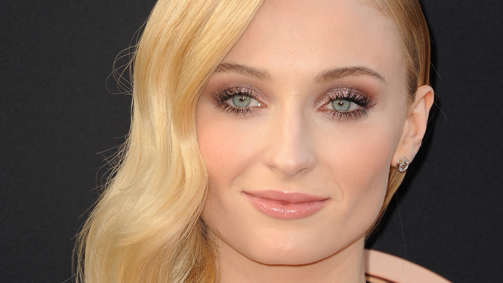 sophie turner net worth - Ilustrasi 2
