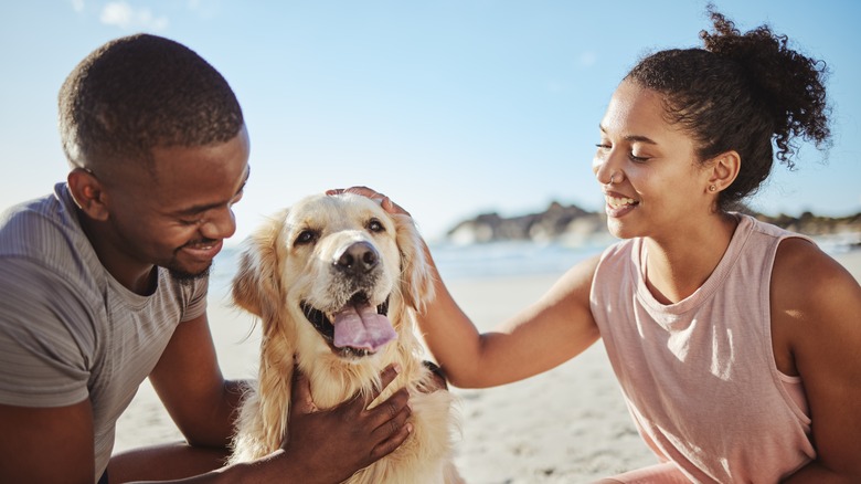couple with dog on beach