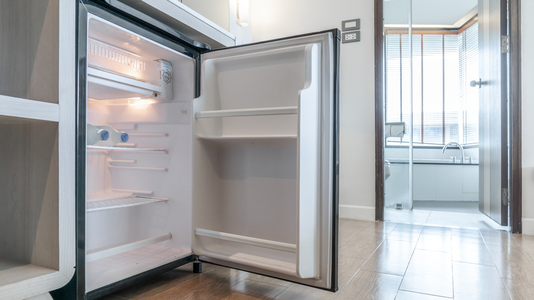 I Tried a Mini-Fridge and I'm Never Storing Beverages with Food Again