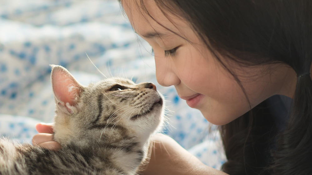 Cat licking human