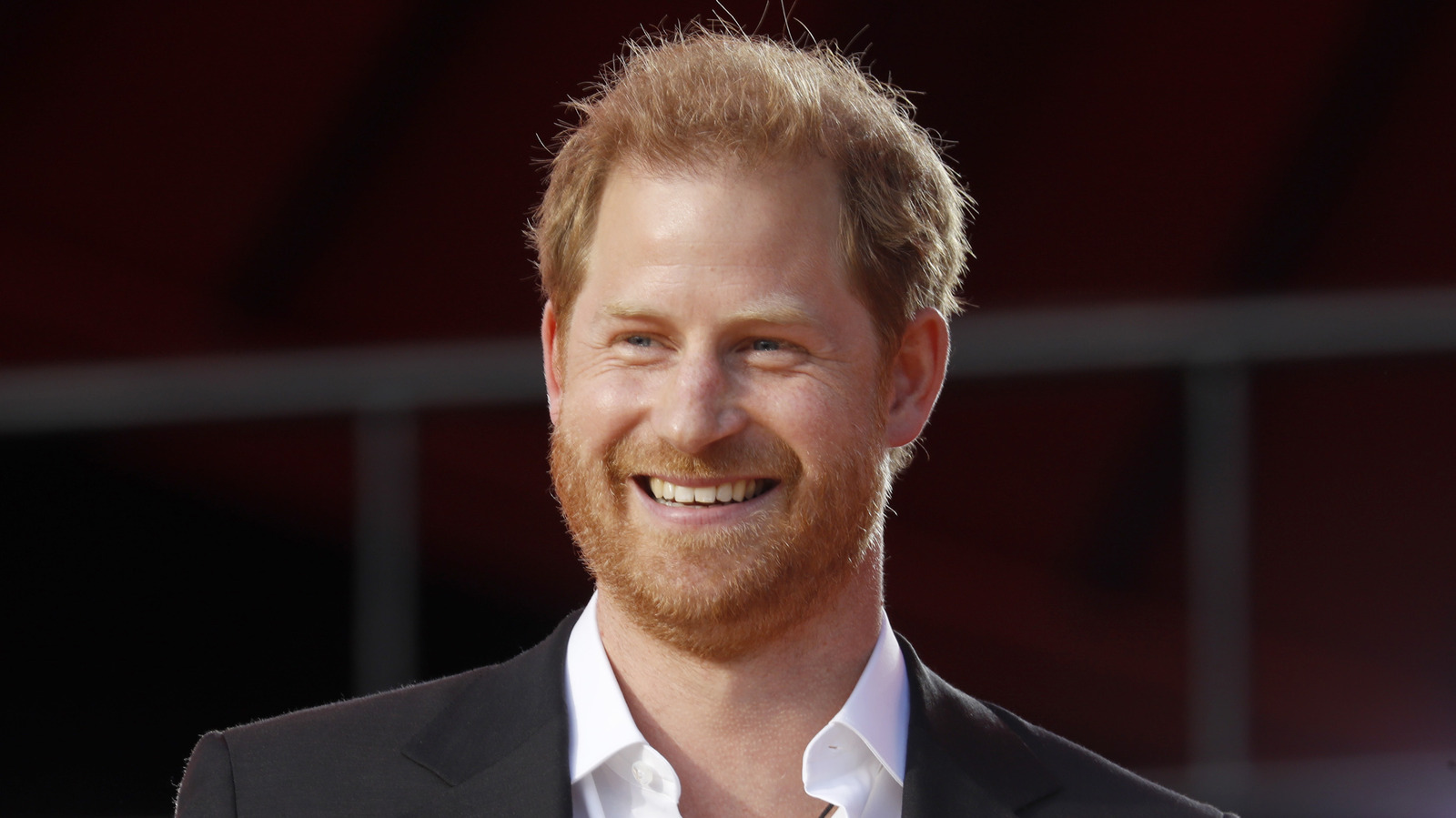 Prince Harry site