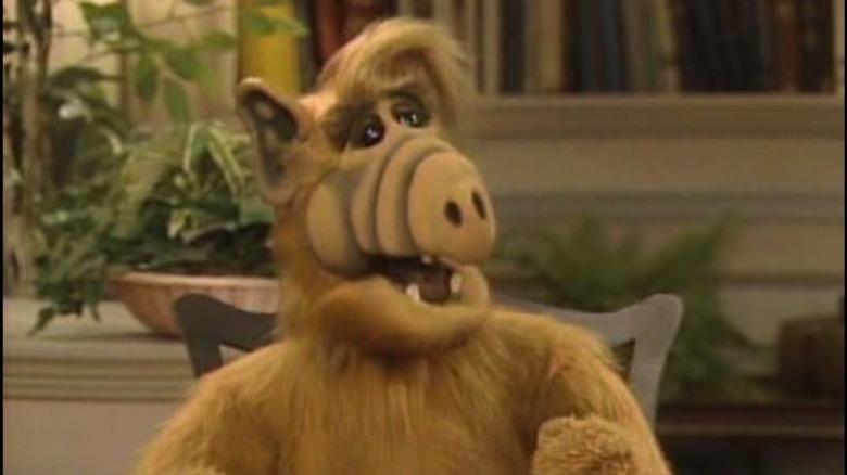 the ALF puppet on ALF
