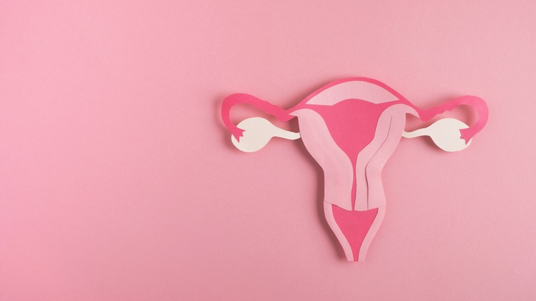 Paper model of uterus