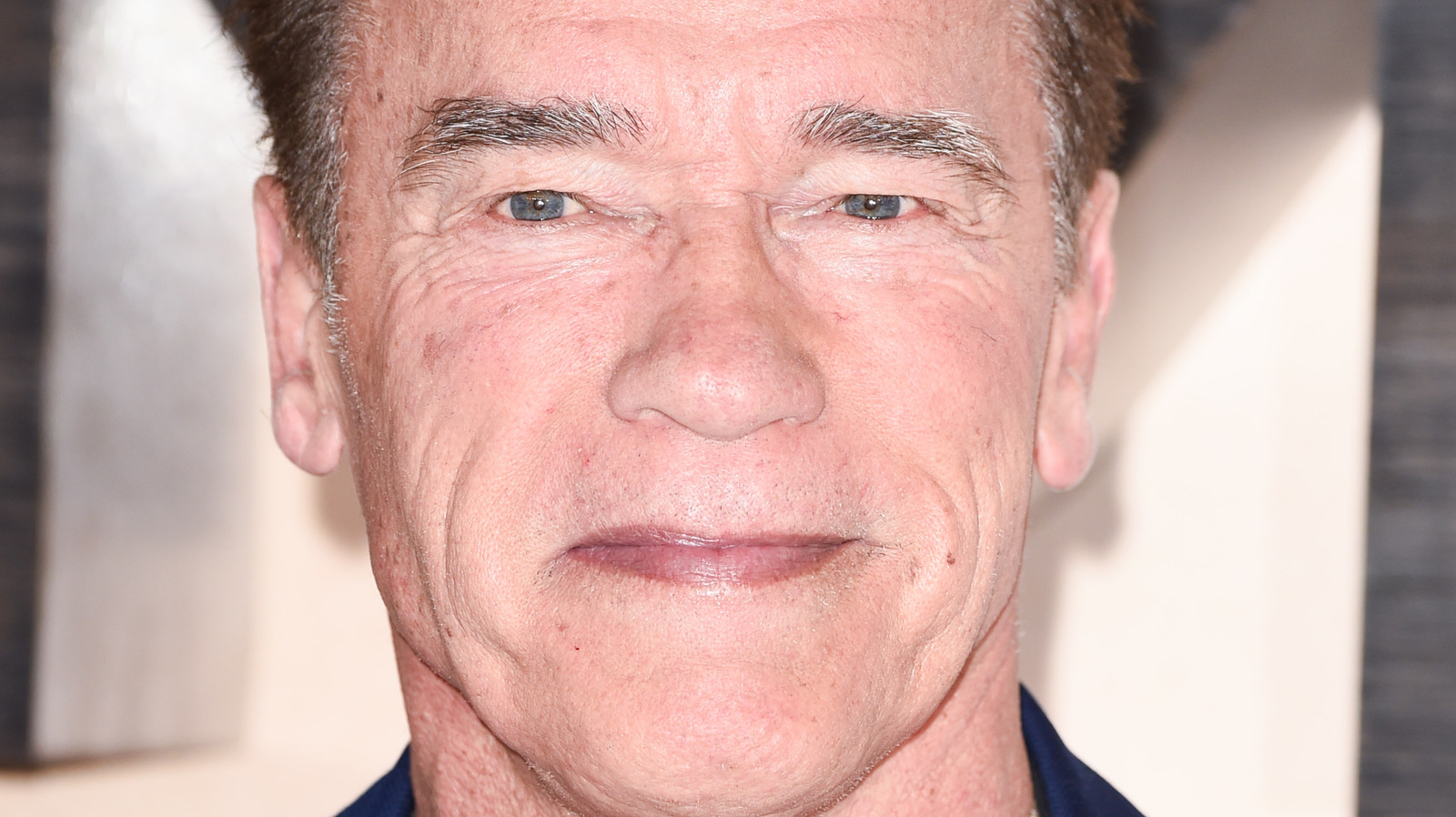 How Arnold Schwarzenegger Really Feels About A Grandfather