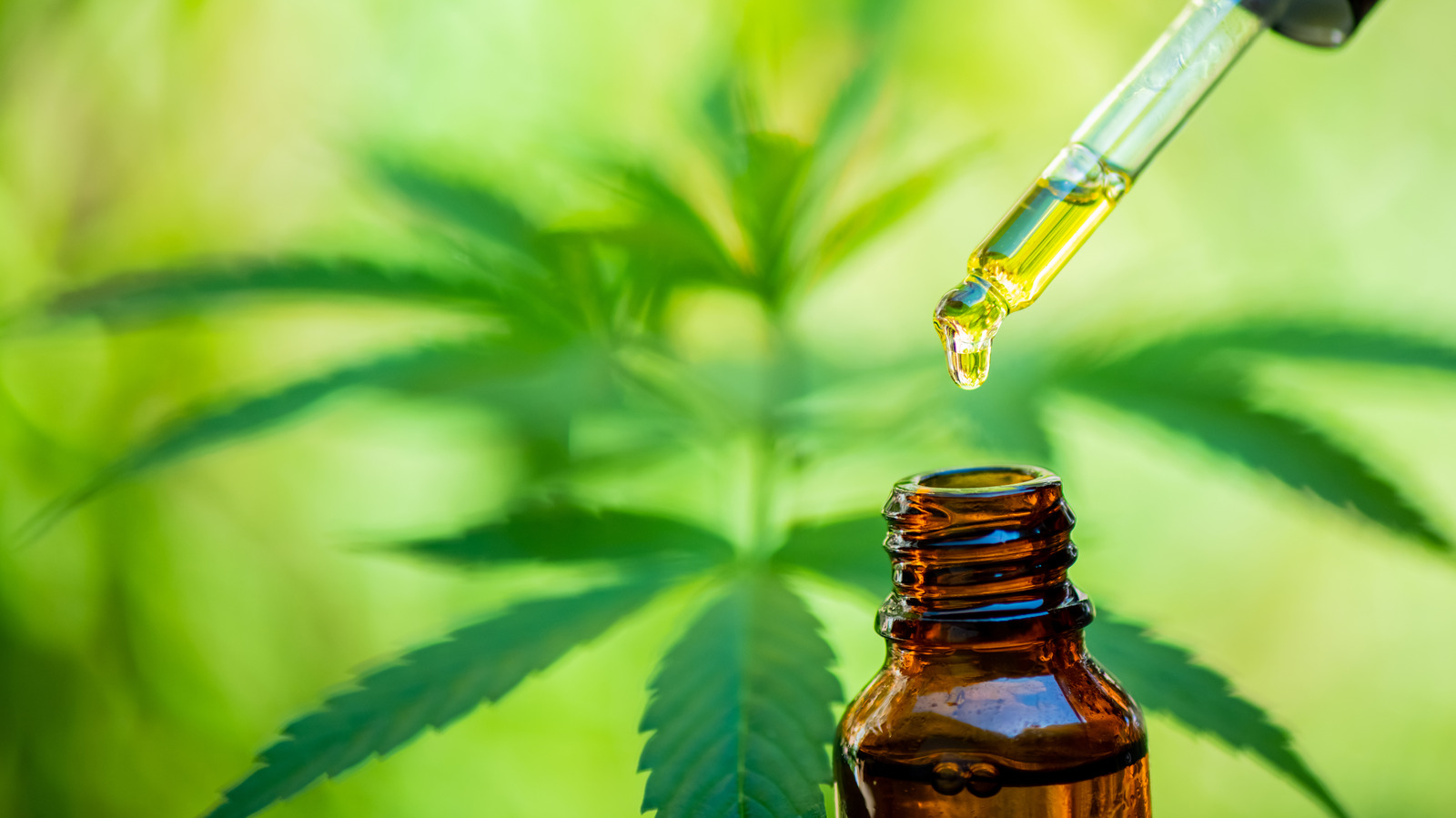 How CBD Can Treat Some Types Of Epilepsy