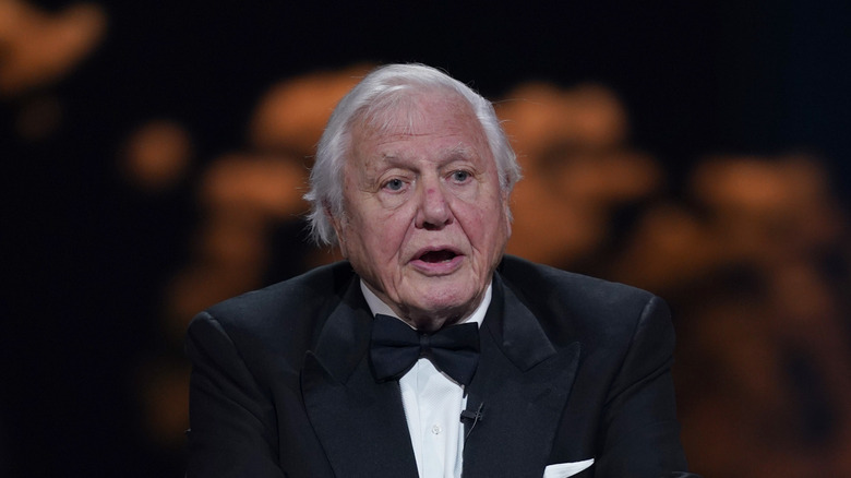 David Attenborough attending the first Earthshot Prize ceremony in a tuxedo in 2021