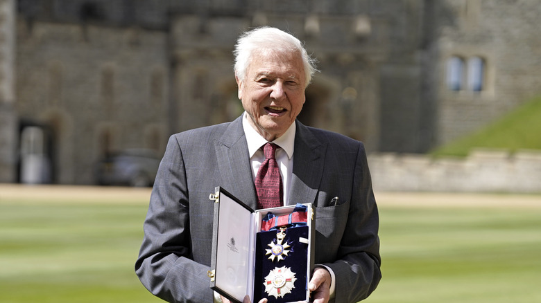 David Attenborough smiling while being granted a GCMG at Windsor Castle in June 2022