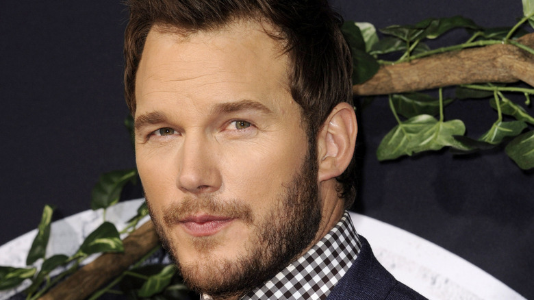 Chris Pratt posing in 2015