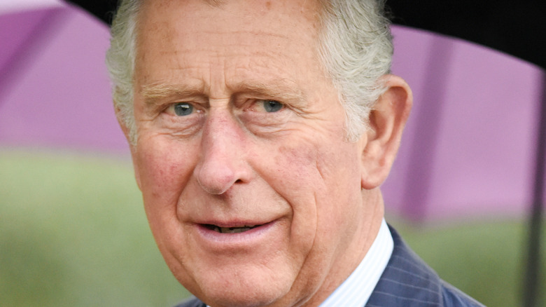 Prince Charles smiling 