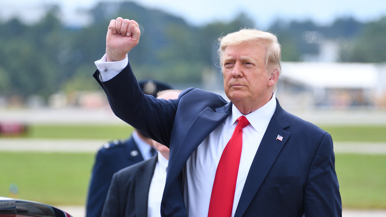 Donald Trump with his fist up