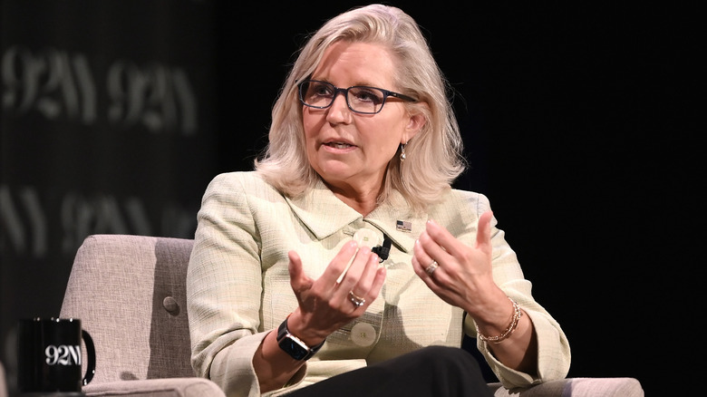 Liz Cheney in interview