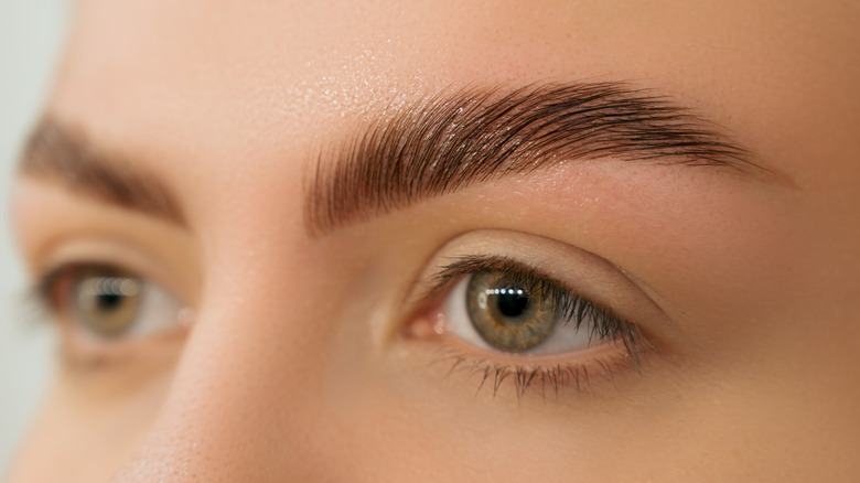 eyebrows