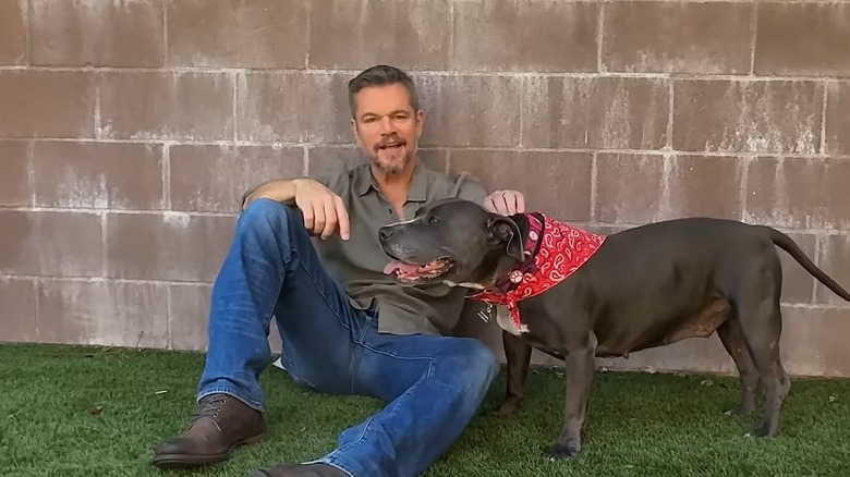 Matt Damon sitting on the ground while petting a pitbull named Betsy