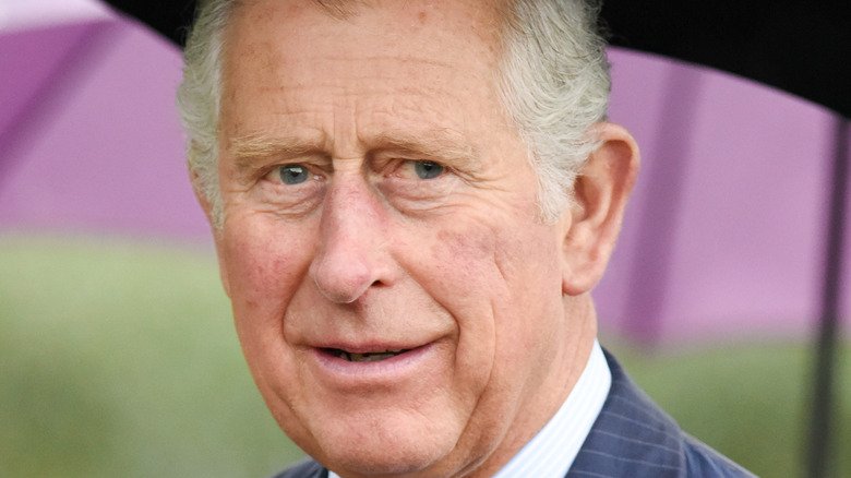 Prince Charles smirking