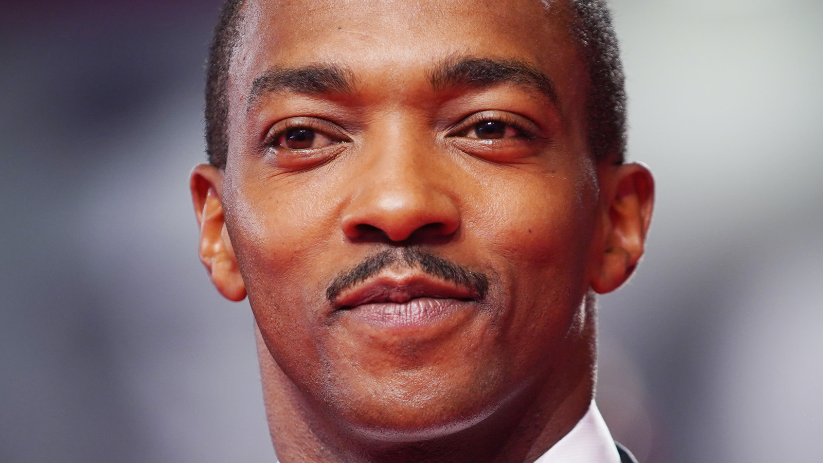 How Much Is Anthony Mackie Really Worth?