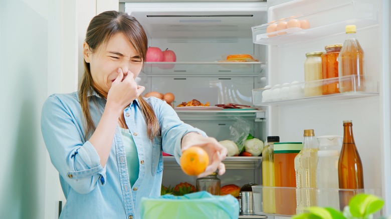 smell in fridge