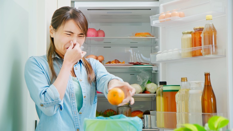 How Often Should You Clean Out Your Freezer/Refrigerator?