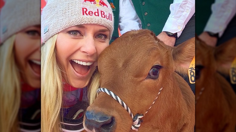 Lindsey Vonn wearing a winter hat next to a brown baby calf