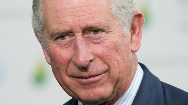 Prince Charles 2015