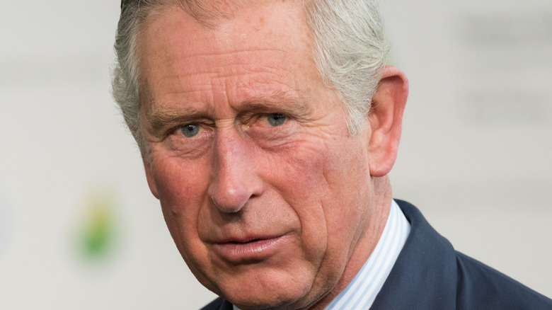 Prince Charles posing