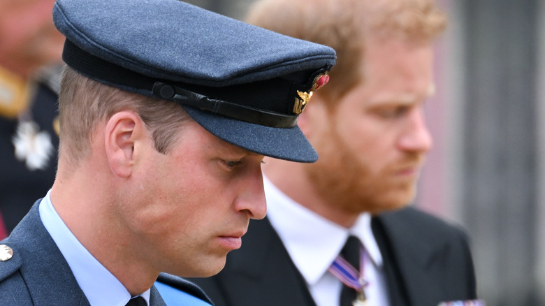 Prince William and Prince Harry profile