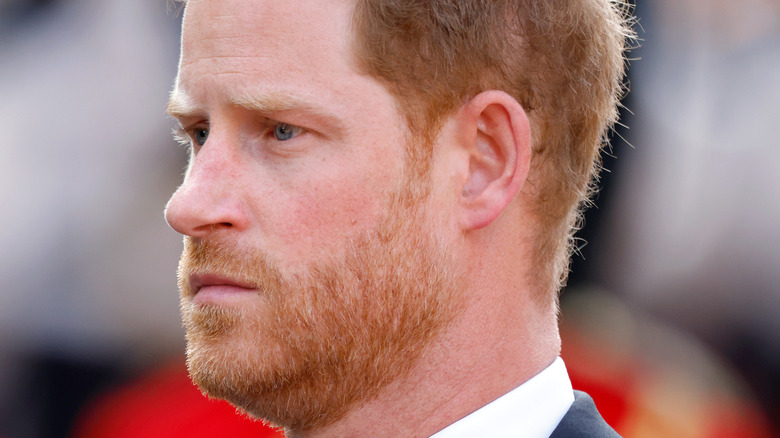 Prince Harry looking regal in his military uniform