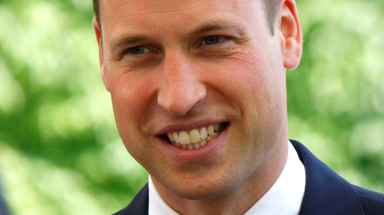 Prince William in 2017