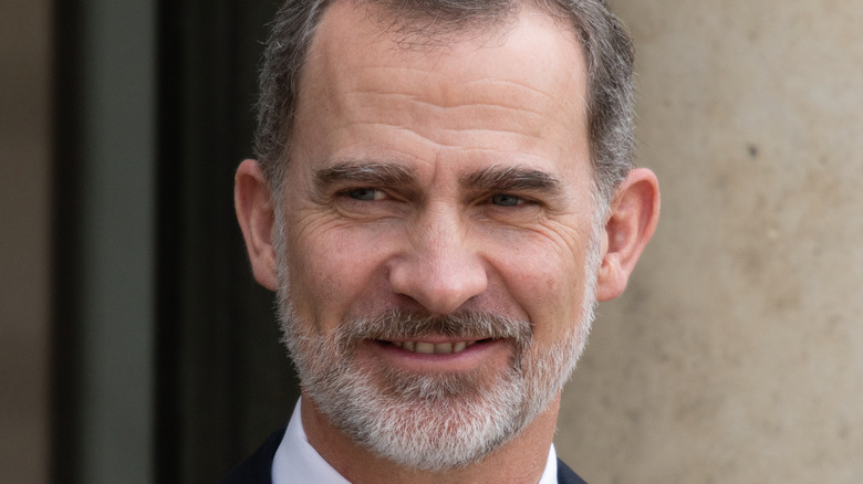 King Felipe VI of Spain