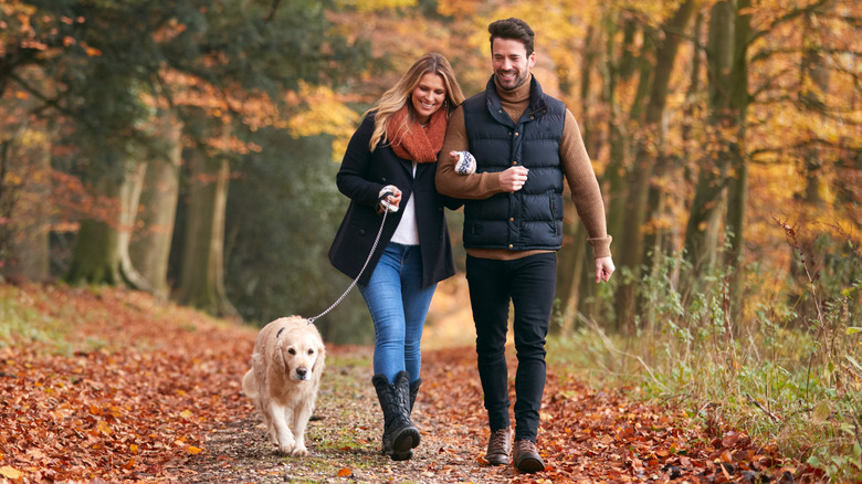 couple walking their dog during fall 