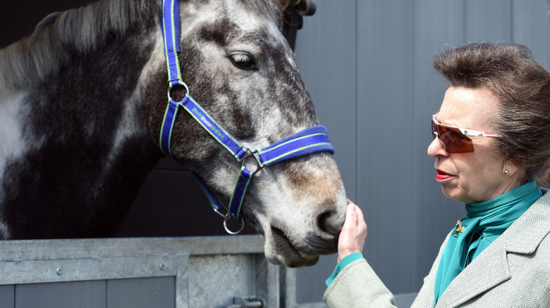 Princess Anne petting a horse.