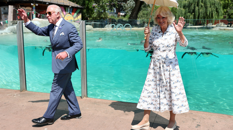 King Charles III and Queen Camilla waving in front of a pool full of penguins.
