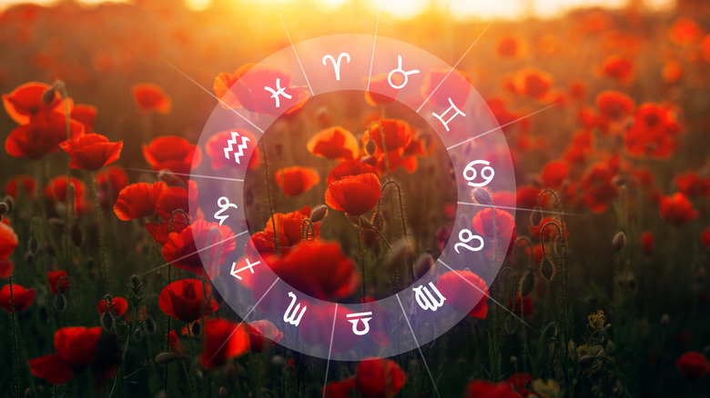 Astrological wheel and tulips