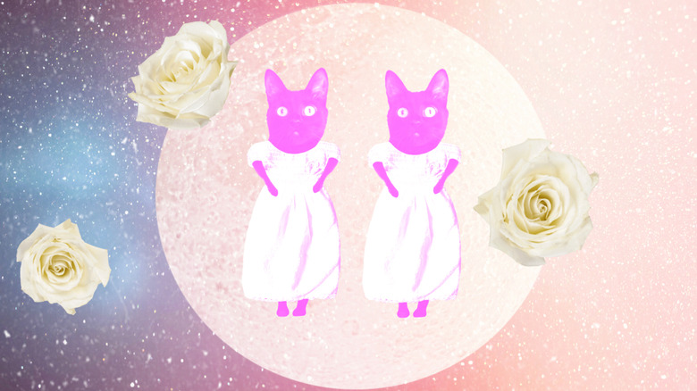 gemini zodiac cats