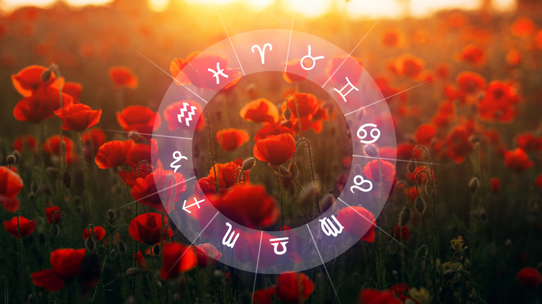 zodiac symbols. 