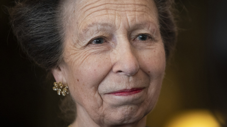 Princess Anne at royal reception 