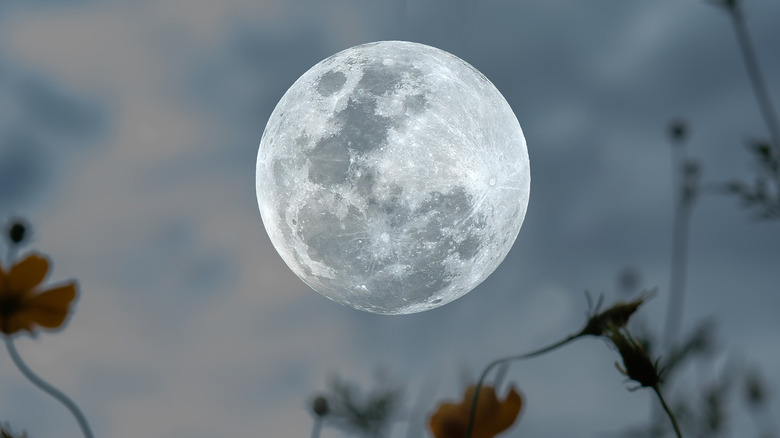 A full moon over a field 